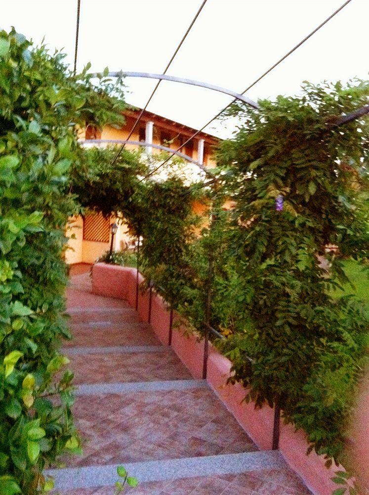Relais Fenicottero Rosa Pensionat Porto Taverna Exteriör bild